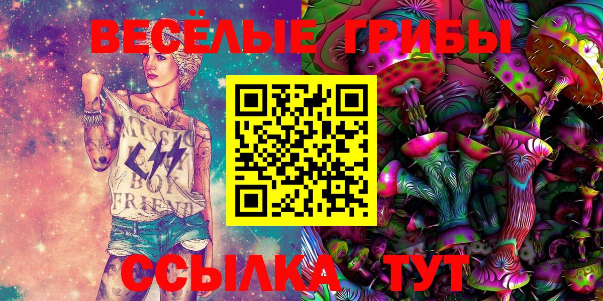Ульяновск  купить закладку  Вход с VPN  Псилоцибиновые грибы Psilocybine cubensis 